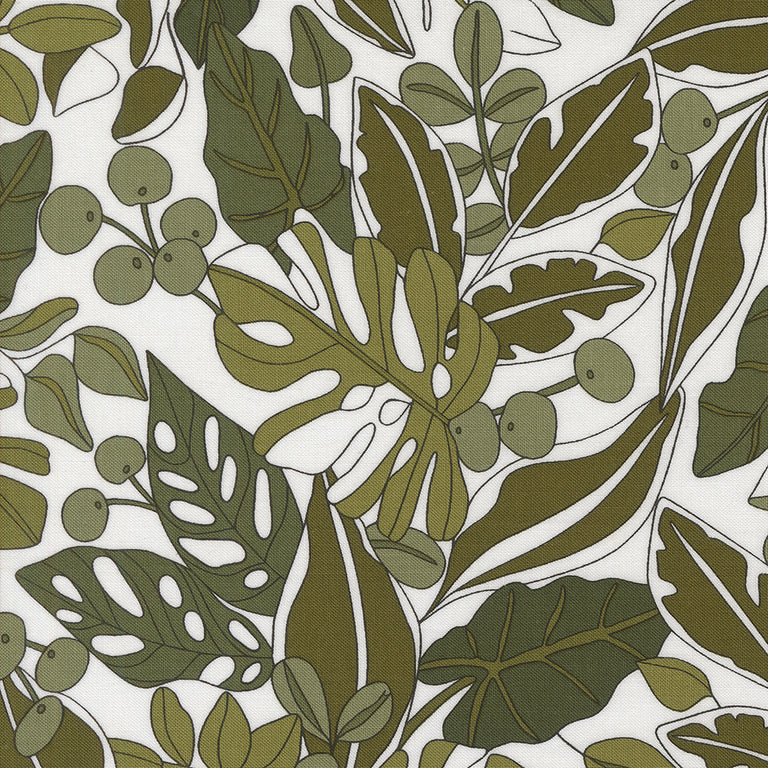 Botany Jelly Roll