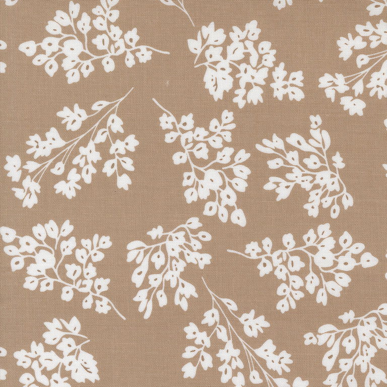 Botany Jelly Roll