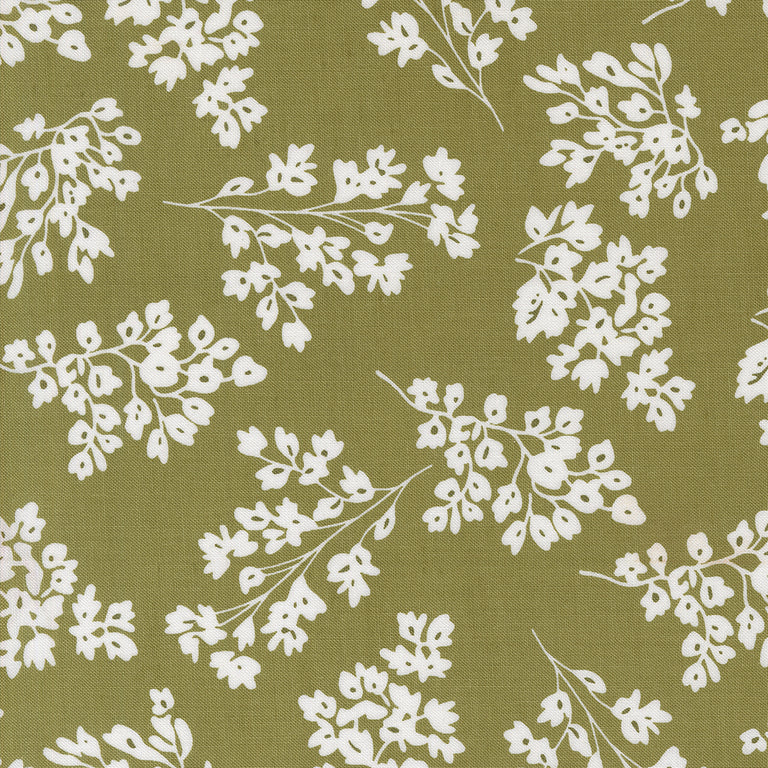 Botany Jelly Roll