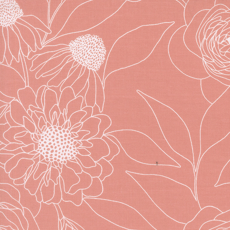 Botany Jelly Roll