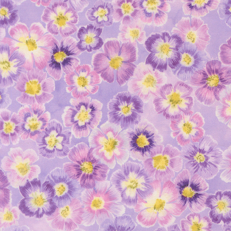 Delphinium Jelly Roll