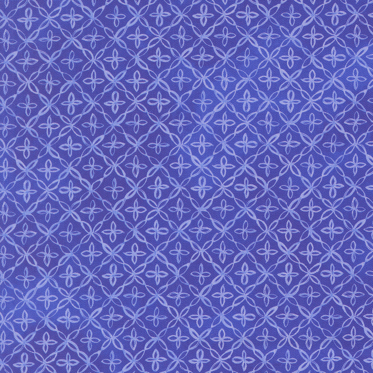 Delphinium Jelly Roll