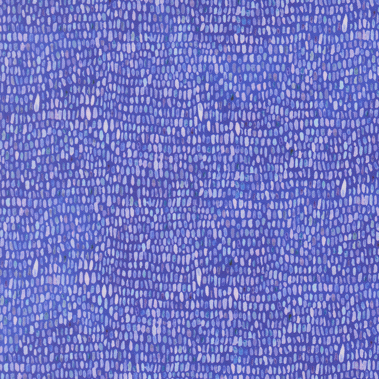 Delphinium Jelly Roll