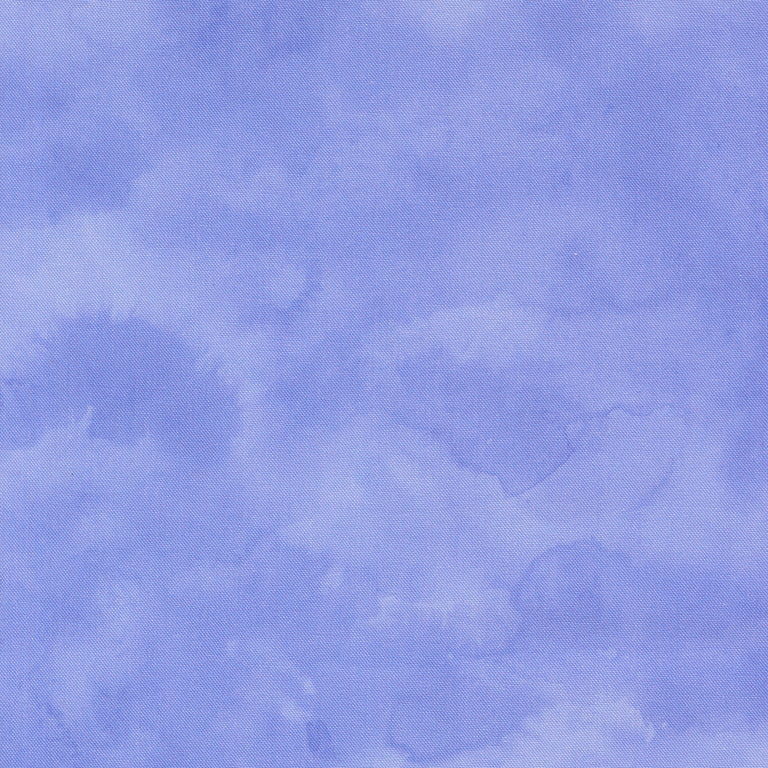 Delphinium Jelly Roll