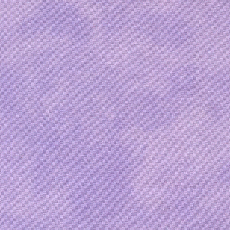 Delphinium Jelly Roll