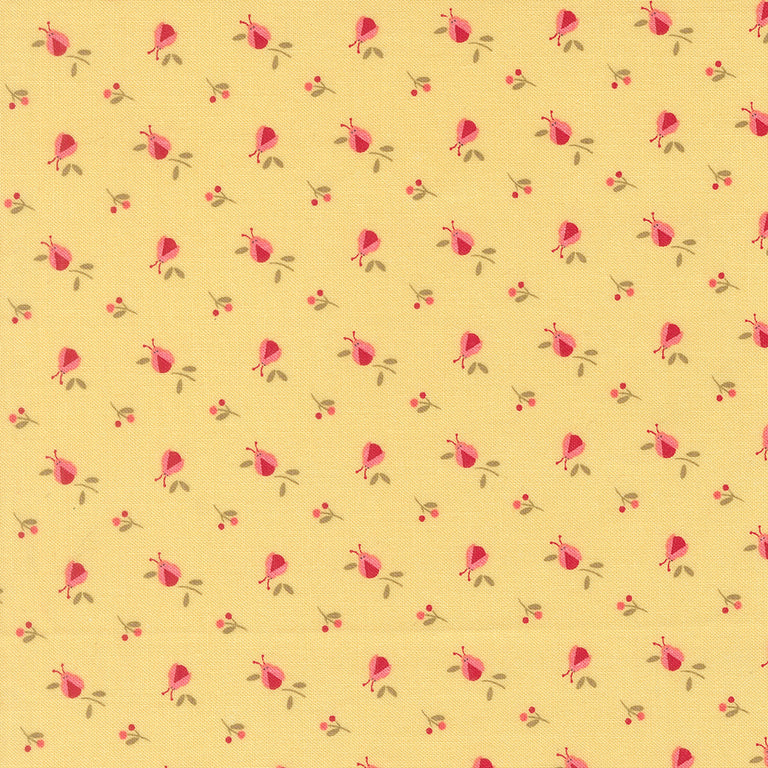 Lyda Rose Jelly Roll
