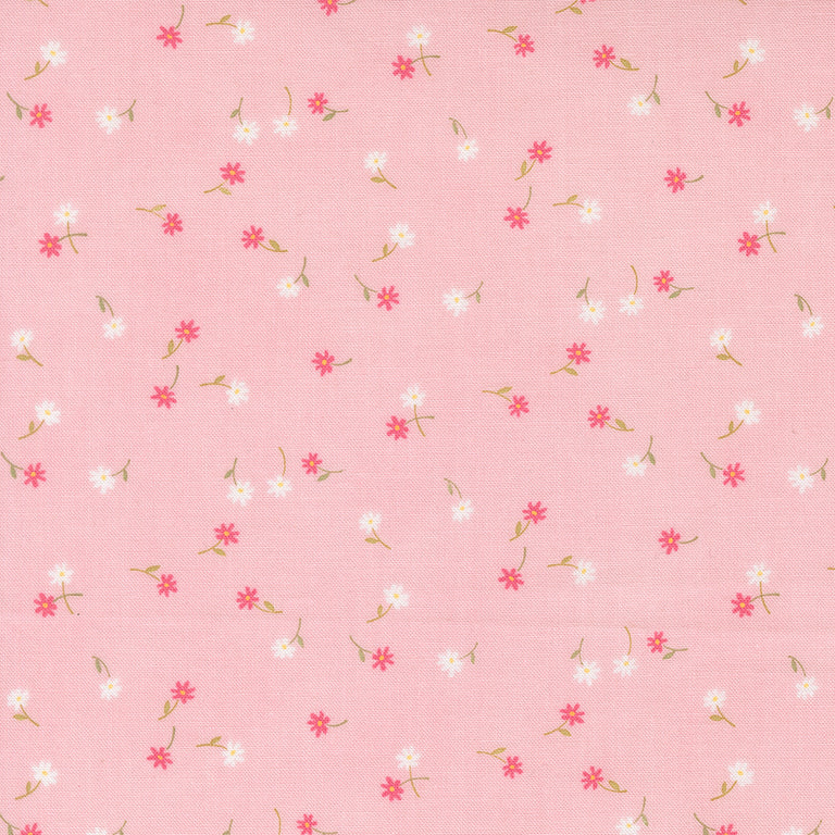 Kindness Jelly Roll