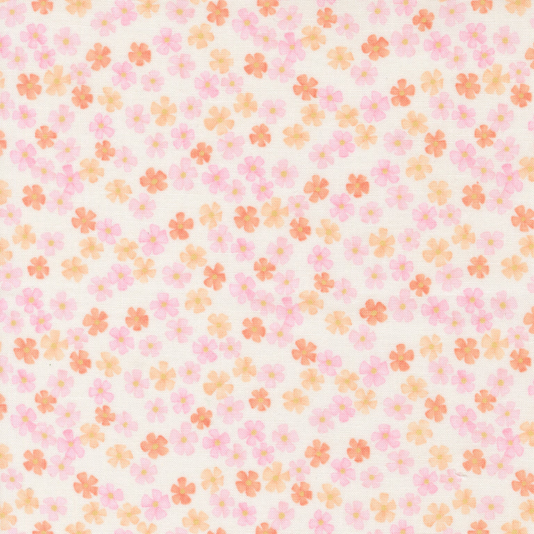 Kindness Jelly Roll
