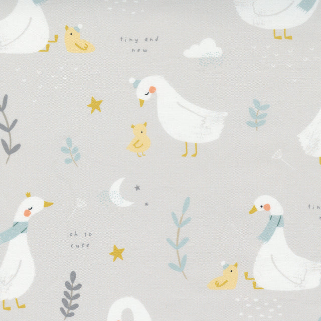 Little Ducklings Warm Grey 25100 14