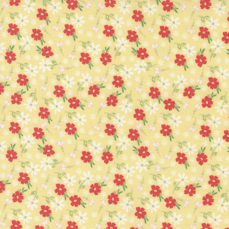 Emma Jelly Roll